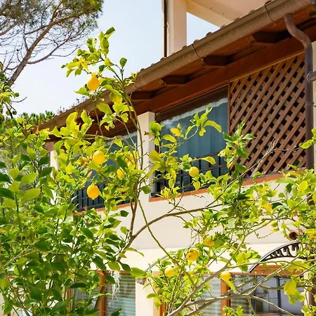 Sole Di Sardegna Mare 1 Apartament